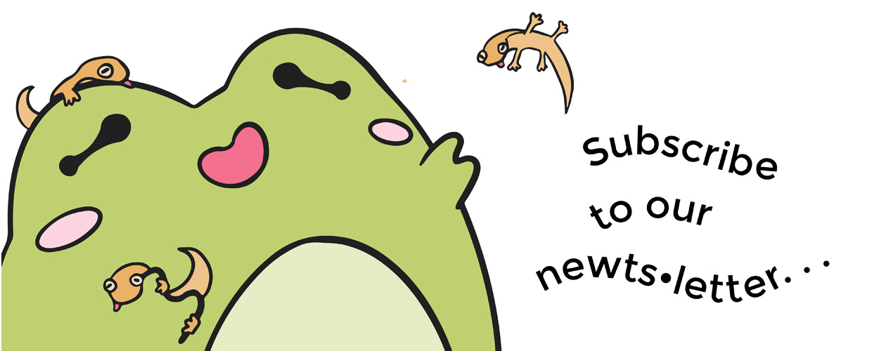 kaeguli KPOP shop official KPOP merchandise and albums subscribe to our newts letter frog with newts meme