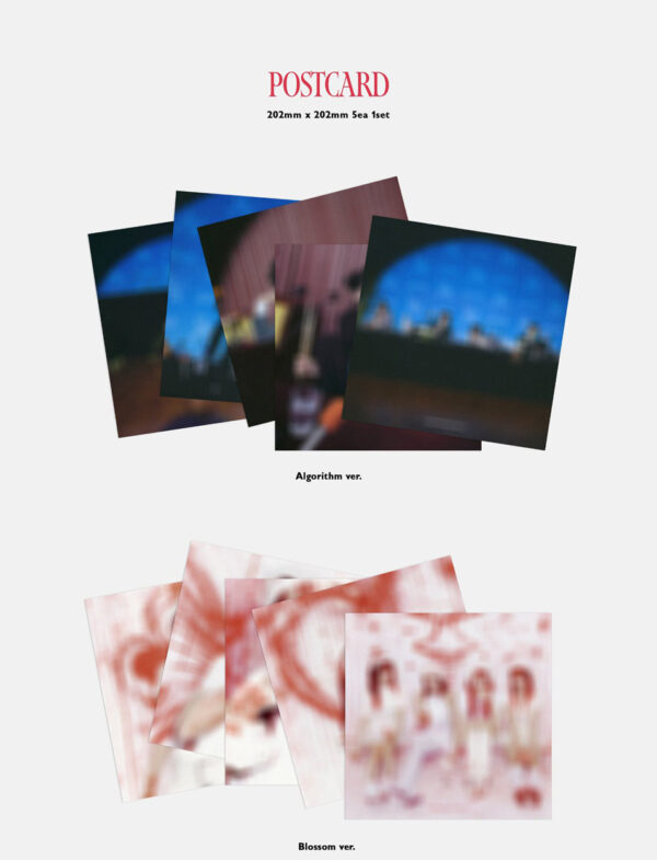 QWER - 2nd Mini Album [Algorithm's Blossom] (Algorithm ver. Blossom ver. ) kaeguli kpop shop albums and merchandise