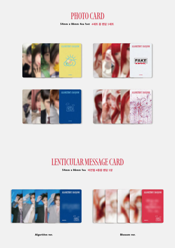 QWER - 2nd Mini Album [Algorithm's Blossom] (Algorithm ver. Blossom ver. ) kaeguli kpop shop albums and merchandise
