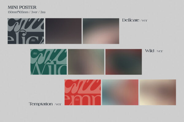 SOOJIN - 2ND MINI ALBUM [RIZZ] (2 TYPE Random) temptaion wild delicate kaeguli kpop albums and merchandise