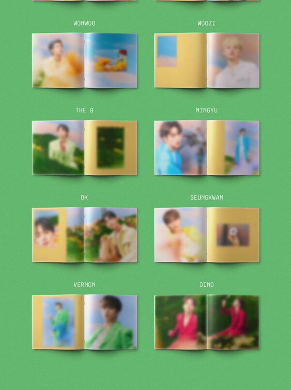SEVENTEEN - 4th Album Repackage [SECTOR 17] (COMPACT Ver.) (14 TYPE Random) kaeguli kpop shop albums and merchandise