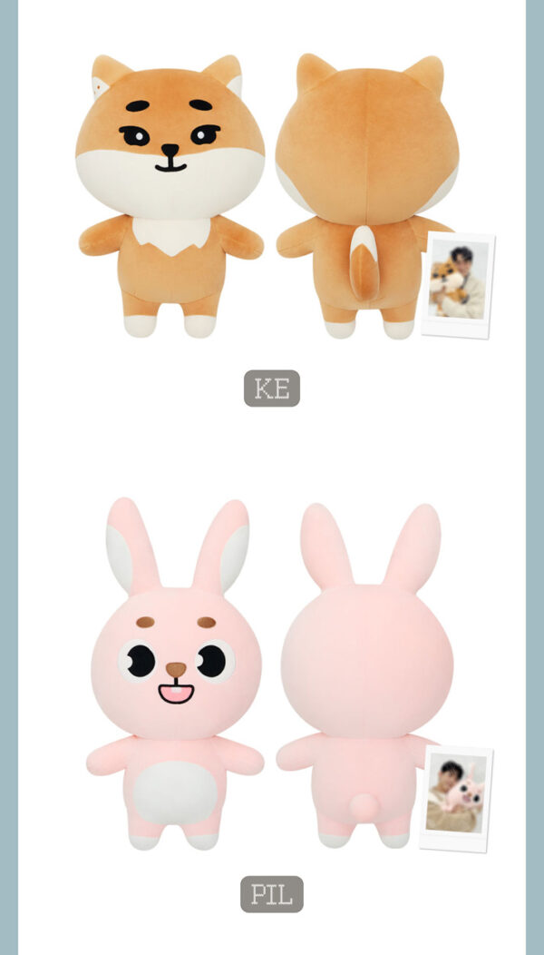 DAY6 - DAY6 2024 Special Concert 'The Present' (DENIMALZ PLUSH GIANT Ver.) (BANG) ke pil don kaeguli kpop shop albums and merchandise
