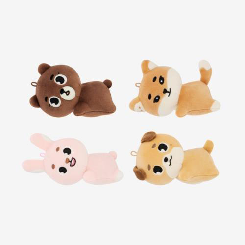 DAY6 - DAY6 2024 Special Concert 'The Present' (DENIMALZ PLUSH HANDWARMER) (DON) pil ke bang kaeguli kpop shop albums and merchandise