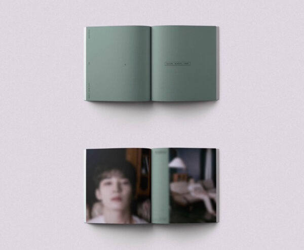 SEVENTEEN - 10th Mini Album [FML] (Deluxe Ver.) kaeguli kpop shop albums and merchandise