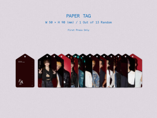 SEVENTEEN - 10th Mini Album [FML] (Deluxe Ver.) kaeguli kpop shop albums and merchandise
