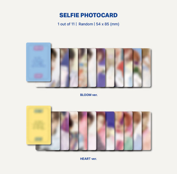THE BOYZ - 2nd Single [Bloom Bloom] Platform Ver. (BLOOM) kaeguli kpop shop albums and merchandise