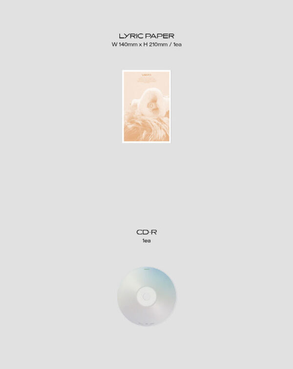 THE BOYZ - Mini Album Vol.7 [BE AWARE] (DOCUMENT (SILVER)) kaeguli kpop shop albums and merchandise