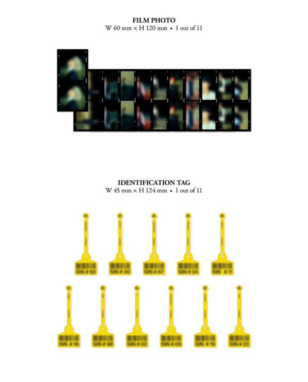 THE BOYZ - 8th MINI ALBUM [BE AWAKE] (REALIZE Ver.) (reach) (reason) kaeguli kpop shop albums and merchandise