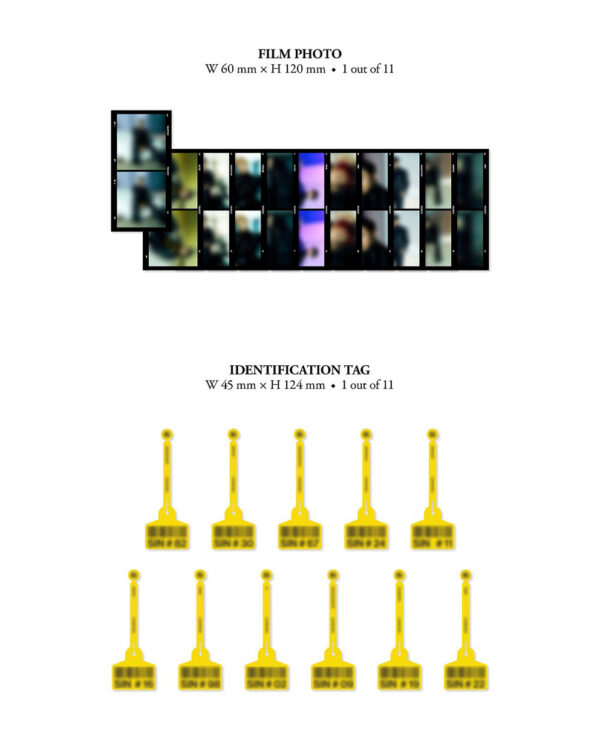 THE BOYZ - 8th MINI ALBUM [BE AWAKE] (REALIZE Ver.) (reach) (reason) kaeguli kpop shop albums and merchandise