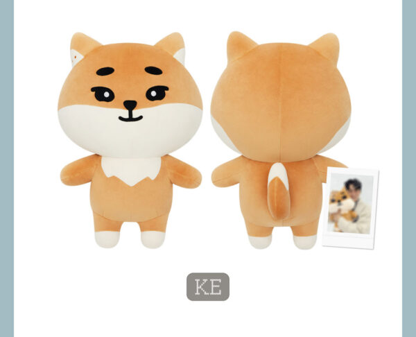 DAY6 - DAY6 2024 Special Concert 'The Present' (DENIMALZ PLUSH GIANT Ver.) (KE) kaeguli kpop shop albums and merchandise