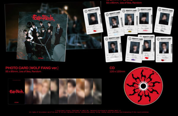 &TEAM - 3rd Single Album [Go in Blind] (STANDARD EDITION) kaeguli kpop shop albums and merchandise