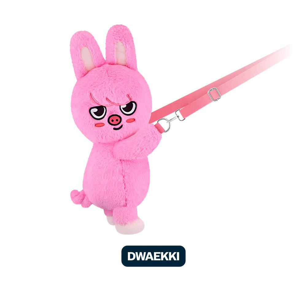 dm_skz_bag_c_03.jpg